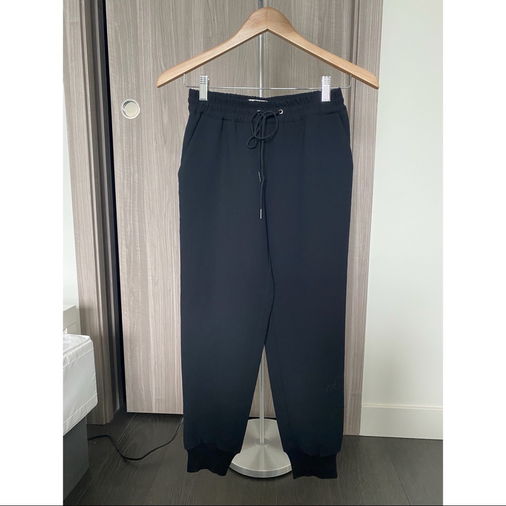 Aritzia Wilfred Pants